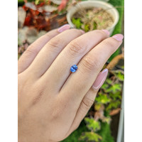 0.60 Ct. Blue Sapphire from Ceylon (Sri Lanka) Life Style