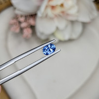 0.60 Ct. Blue Sapphire from Ceylon (Sri Lanka) Life Style
