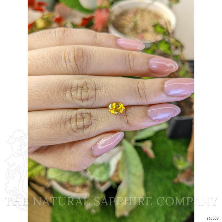 1.18 Ct. Yellow Sapphire from Ceylon (Sri Lanka)