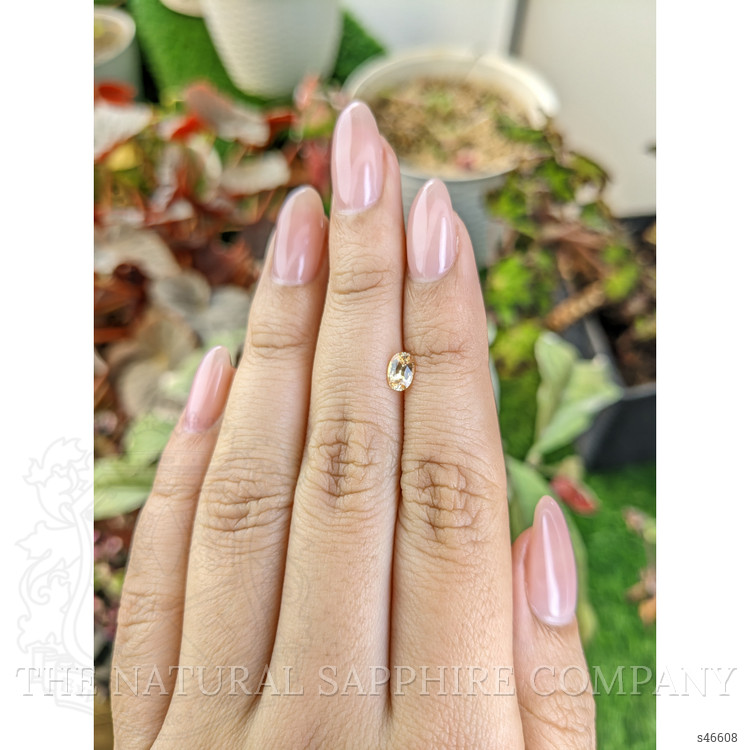 0.50 Ct. Peach Sapphire from Ceylon (Sri Lanka)