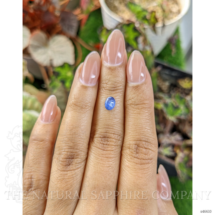 0.97 Ct. Blue Cabochon Sapphire from Ceylon (Sri Lanka)