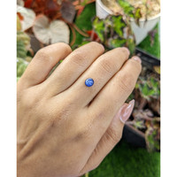 0.88 Ct. Blue Cabochon Sapphire from Ceylon (Sri Lanka) Life Style
