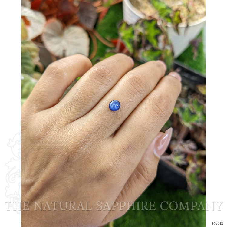 0.88 Ct. Blue Cabochon Sapphire from Ceylon (Sri Lanka)