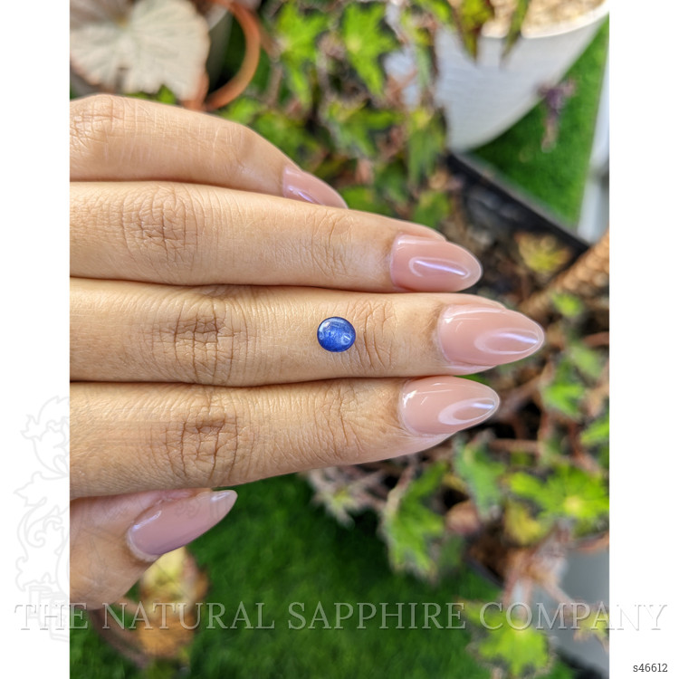 0.88 Ct. Blue Cabochon Sapphire from Ceylon (Sri Lanka)