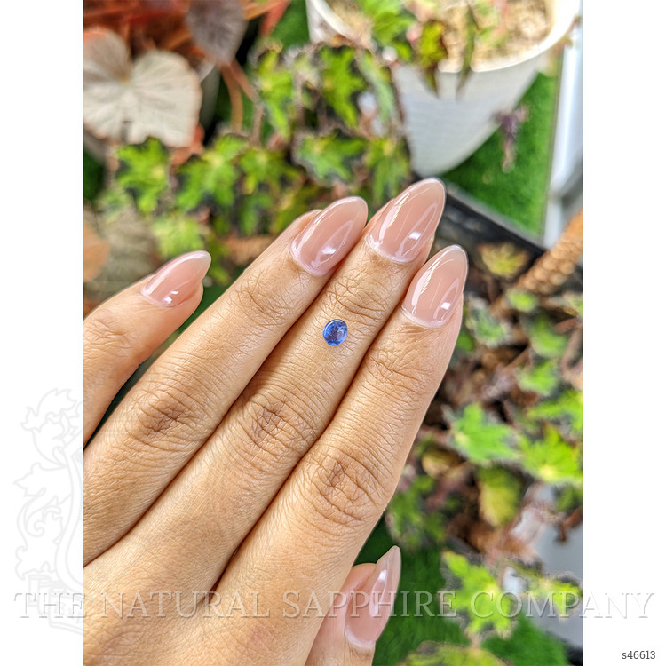 0.55 Ct. Blue Cabochon Sapphire from Ceylon (Sri Lanka)