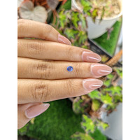 0.55 Ct. Blue Cabochon Sapphire from Ceylon (Sri Lanka) Life Style