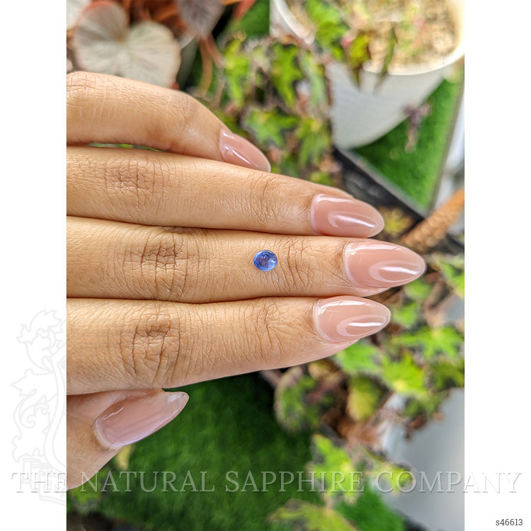 0.55 Ct. Blue Cabochon Sapphire from Ceylon (Sri Lanka)