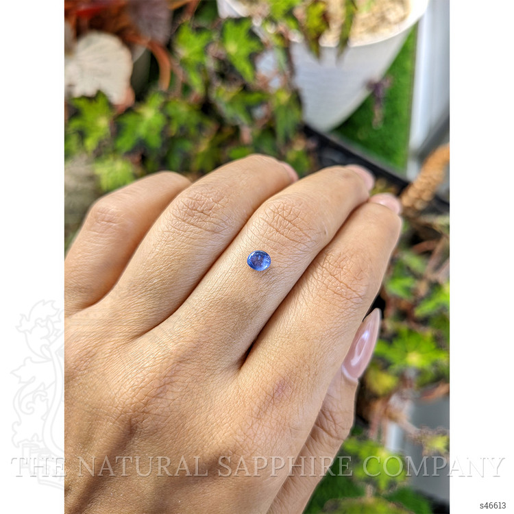 0.55 Ct. Blue Cabochon Sapphire from Ceylon (Sri Lanka)