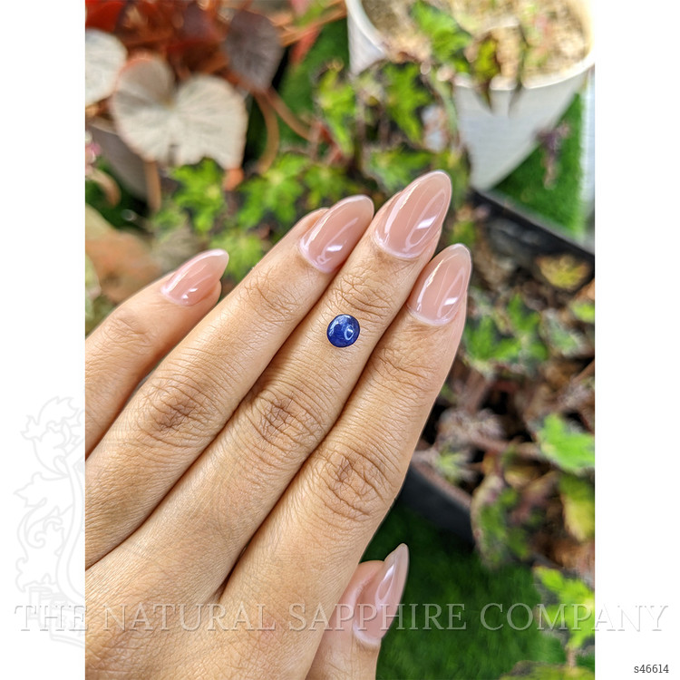1.27 Ct. Blue Cabochon Sapphire from Ceylon (Sri Lanka)