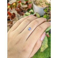 0.63 Ct. Blue Cabochon Sapphire from Ceylon (Sri Lanka) Life Style