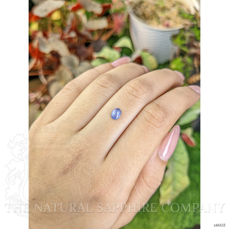 0.63 Ct. Blue Cabochon Sapphire from Ceylon (Sri Lanka)