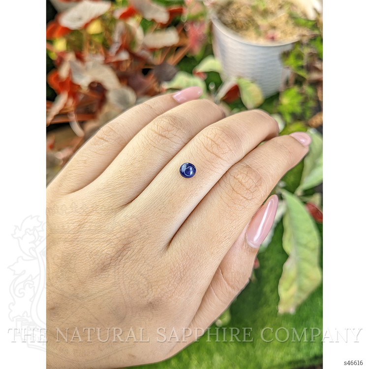 0.72 Ct. Blue Cabochon Sapphire from Ceylon (Sri Lanka)