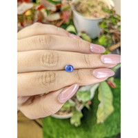 1.14 Ct. Blue Cabochon Sapphire from Ceylon (Sri Lanka) Life Style