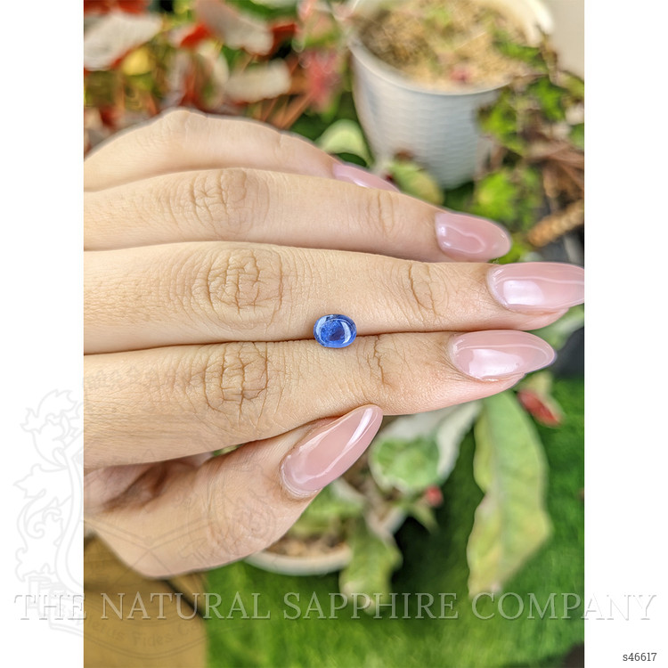1.14 Ct. Blue Cabochon Sapphire from Ceylon (Sri Lanka)