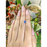 1.14 Ct. Blue Cabochon Sapphire from Ceylon (Sri Lanka) Life Style