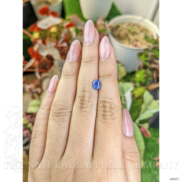1.14 Ct. Blue Cabochon Sapphire from Ceylon (Sri Lanka)