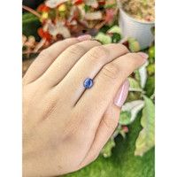 1.14 Ct. Blue Cabochon Sapphire from Ceylon (Sri Lanka) Life Style