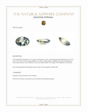 1.01 Ct. Bi Color / Parti Sapphire from Tanzania Appraisal