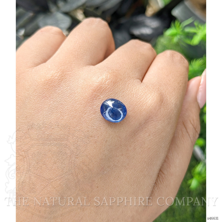 2.77 Ct. Blue Cabochon Sapphire from Ceylon (Sri Lanka)