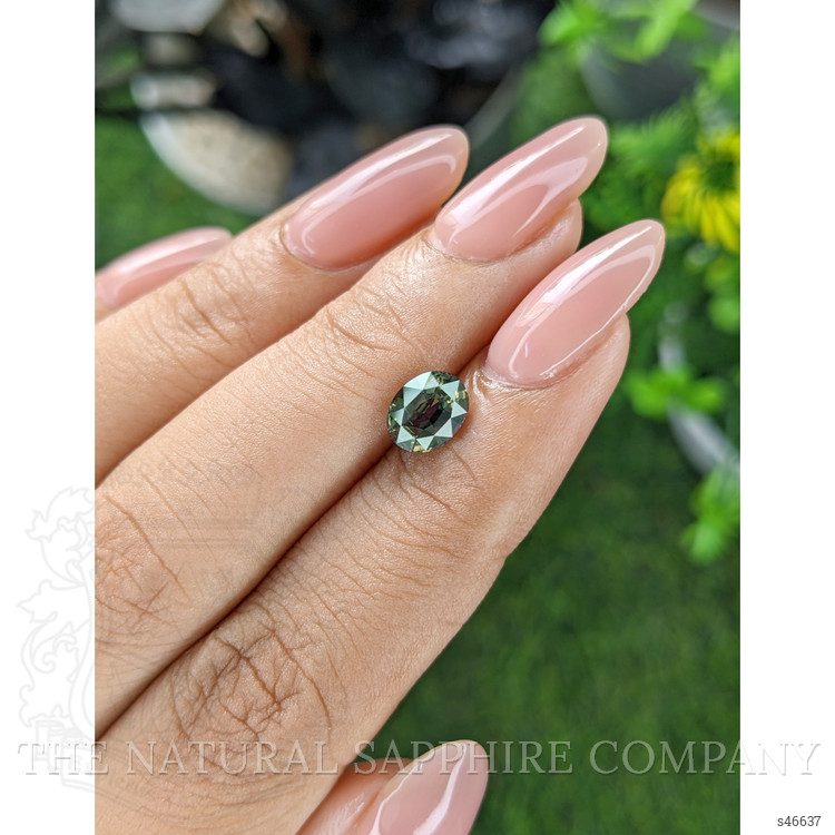 1.56 Ct. Brownish Green Sapphire from Tanzania