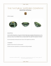 1.54 Ct. Bluish Green Sapphire from Tanzania Appraisal