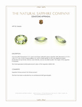 1.01 Ct. Yellowish Green Sapphire from Tanzania Appraisal