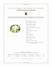 1.01 Ct. Yellowish Green Sapphire from Tanzania Scan Report