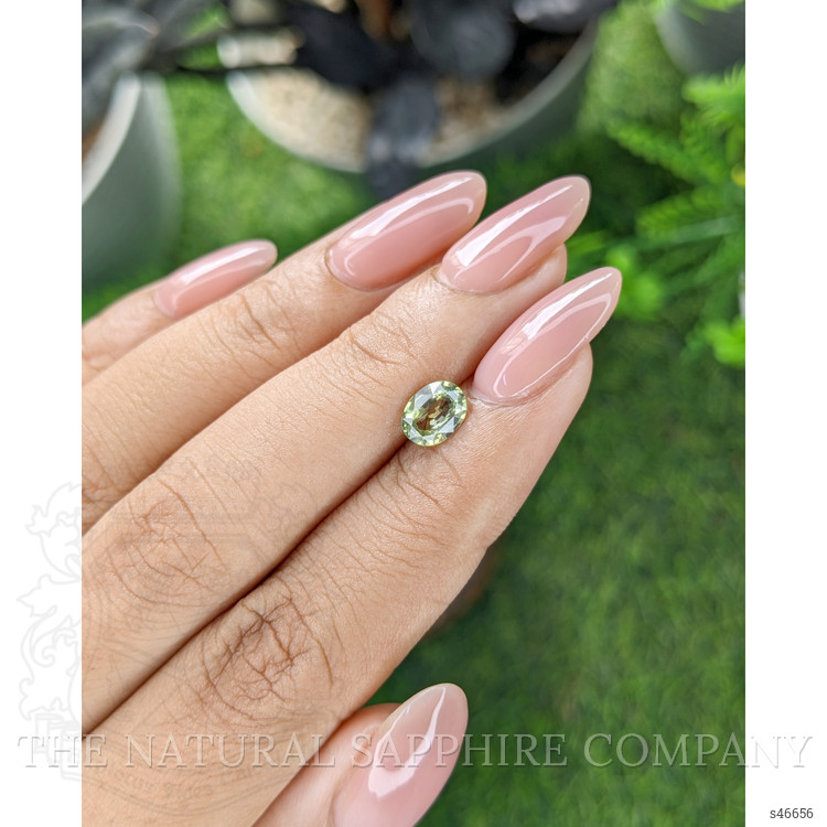 1.01 Ct. Yellowish Green Sapphire from Tanzania