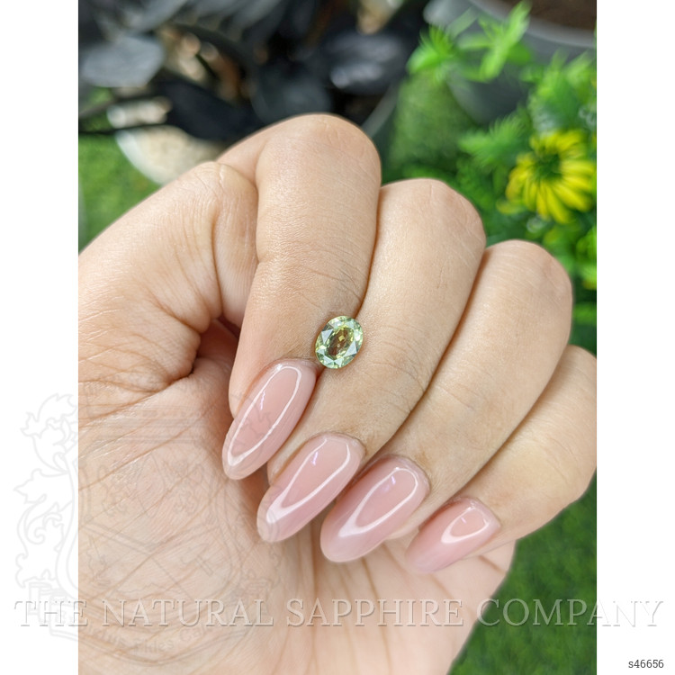 1.01 Ct. Yellowish Green Sapphire from Tanzania