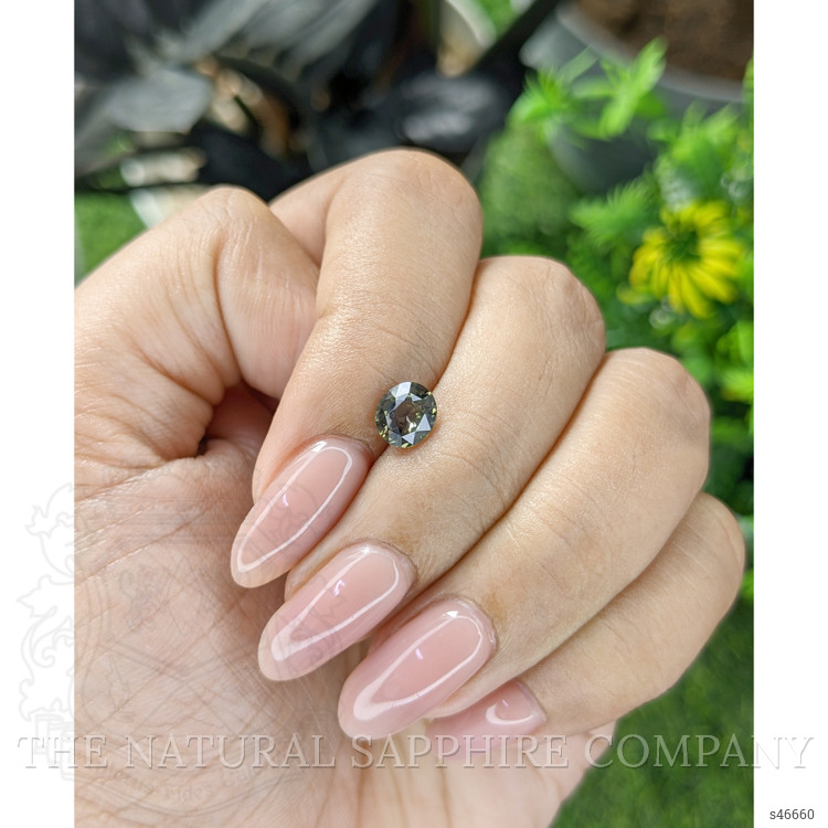 1.11 Ct. Yellowish Green Sapphire from Tanzania