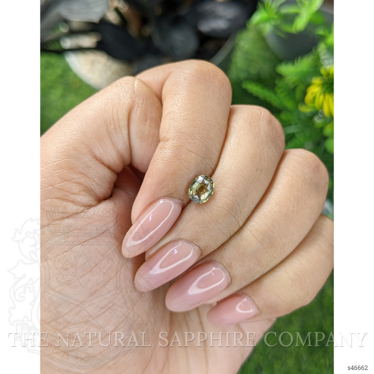 1.04 Ct. Yellowish Green Sapphire from Tanzania