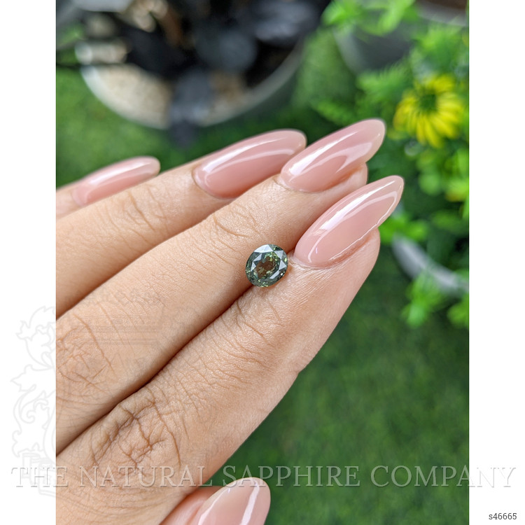 1.05 Ct. Yellowish Green Sapphire from Tanzania