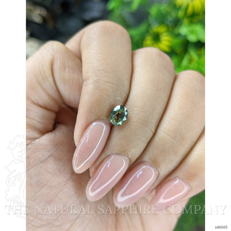 1.05 Ct. Yellowish Green Sapphire from Tanzania