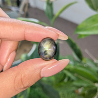 22.28 Ct. Greenish Blue Star Sapphire from Madagascar Life Style
