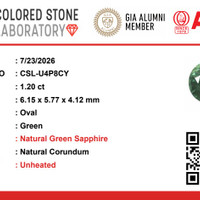1.19 Ct. Green Sapphire from Madagascar Pdf