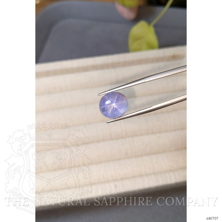 12.47 Ct. Blue Star Sapphire from Ceylon (Sri Lanka)