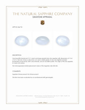 9.21 Ct. Greyish Blue Star Sapphire from Ceylon (Sri Lanka) Appraisal
