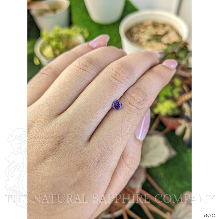 0.55 Ct. Purple Sapphire from Ceylon (Sri Lanka)