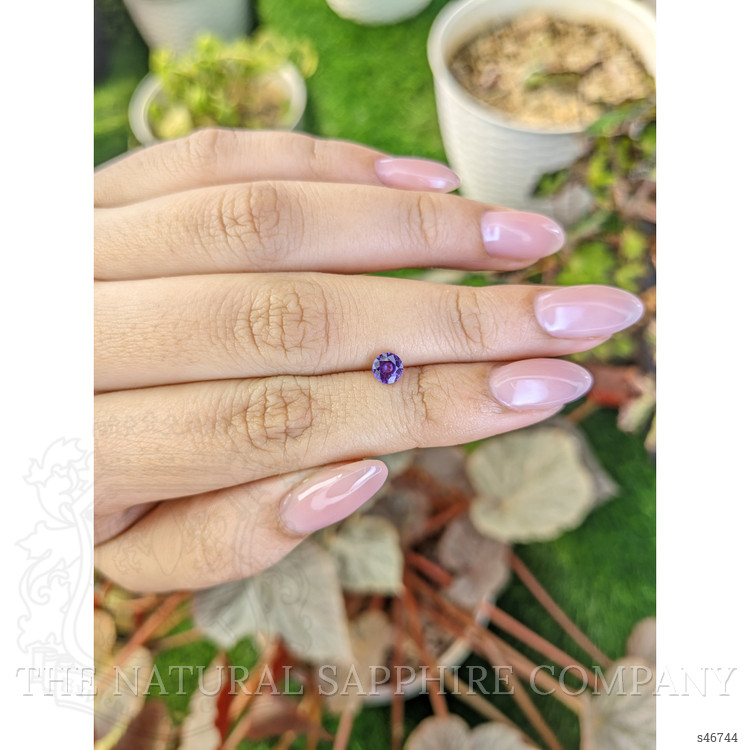0.55 Ct. Purple Sapphire from Ceylon (Sri Lanka)