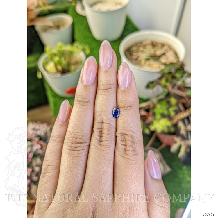 0.59 Ct. Blue Sapphire from Ceylon (Sri Lanka)