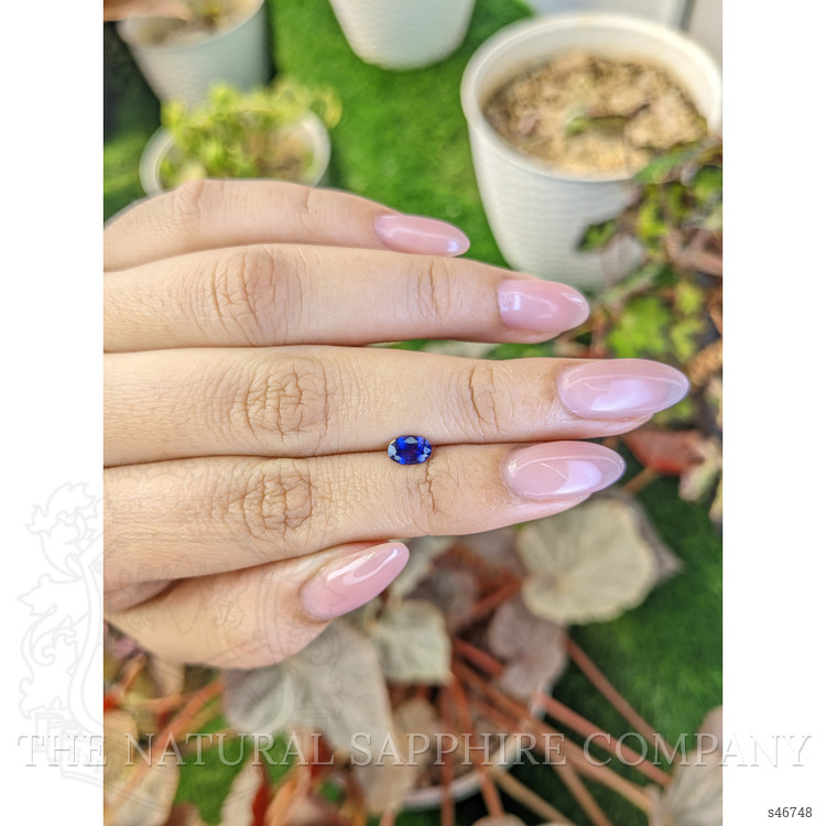 0.59 Ct. Blue Sapphire from Ceylon (Sri Lanka)