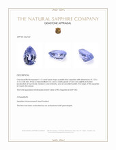 1.13 Ct. Purplish Blue Sapphire from Ceylon (Sri Lanka) Appraisal