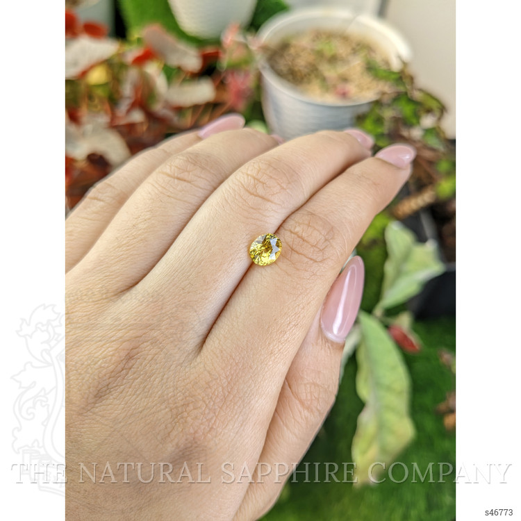1.57 Ct. Yellow Sapphire from Ceylon (Sri Lanka)