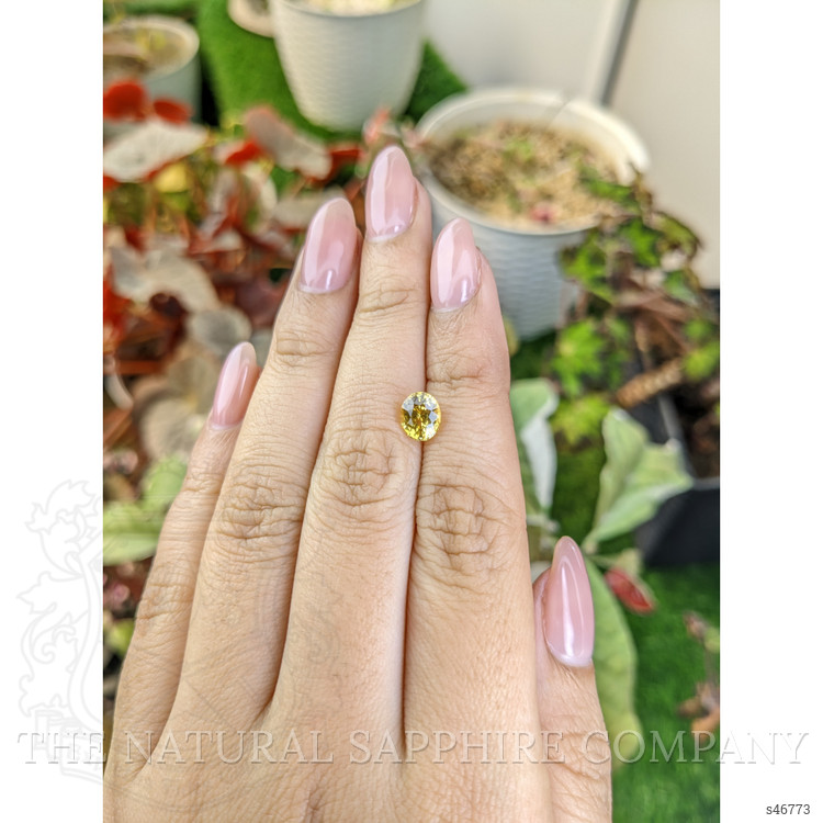 1.57 Ct. Yellow Sapphire from Ceylon (Sri Lanka)
