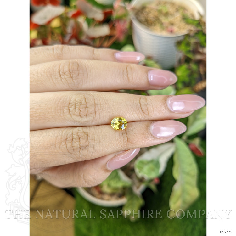 1.57 Ct. Yellow Sapphire from Ceylon (Sri Lanka)