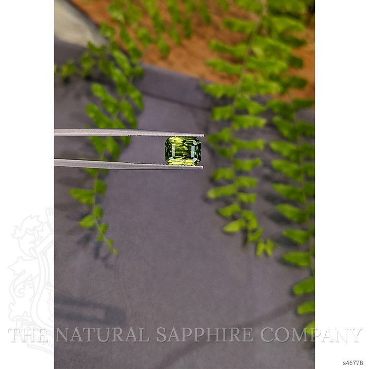 4.13 Ct. Yellowish Green Sapphire from Madagascar