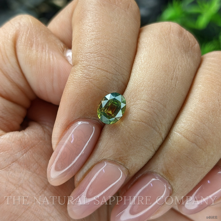 1.57 Ct. Bi Color / Parti Sapphire from Madagascar