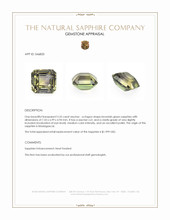 2.55 Ct. Brownish Green Sapphire from Madagascar Appraisal