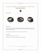 2.43 Ct. Black Star Sapphire from Ceylon (Sri Lanka) Appraisal