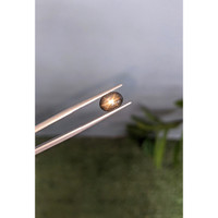 2.43 Ct. Black Star Sapphire from Ceylon (Sri Lanka) Life Style